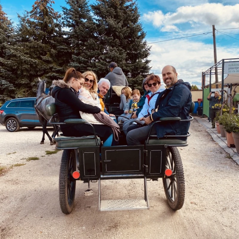 Csapatépítő, tréning, konferencia