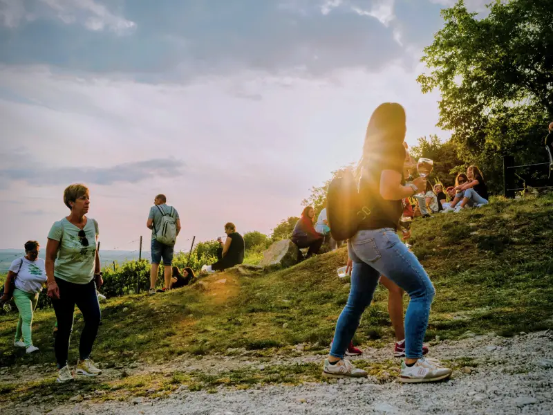 Dűlőtúra kóstoló Dűlőtúra kóstoló