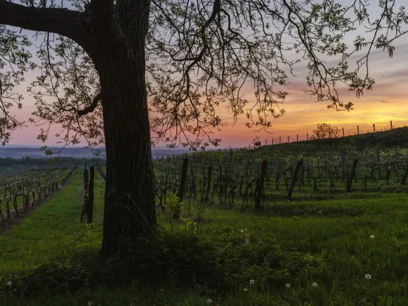 Itt az idő lelassul és meghallgatni a csendet